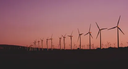 El Observador | 1685308573418.webp