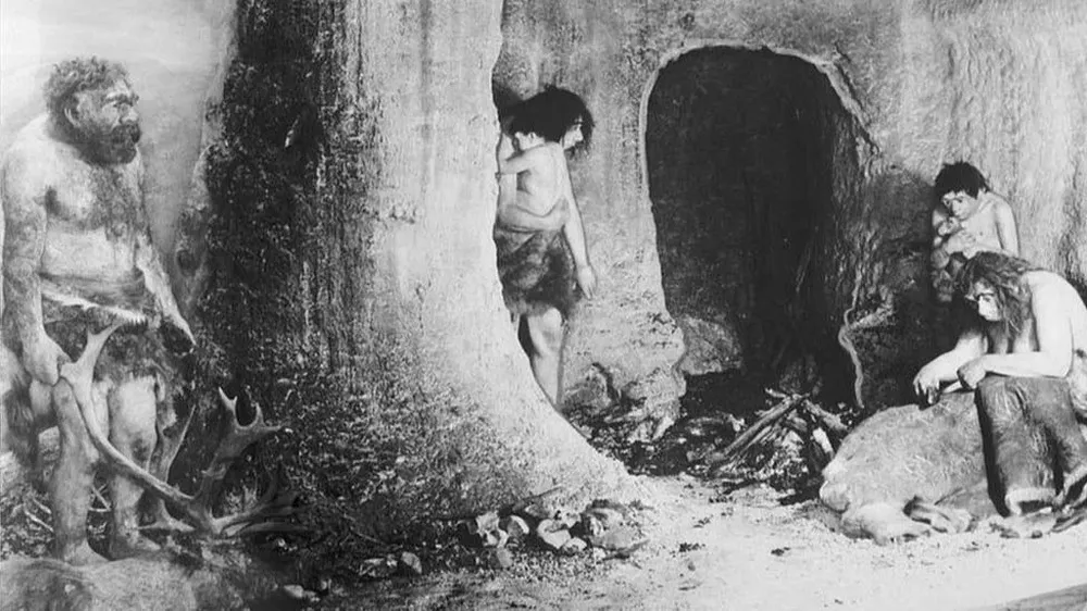 ¿Qué roles tenían los niños en los grupos neandertales?