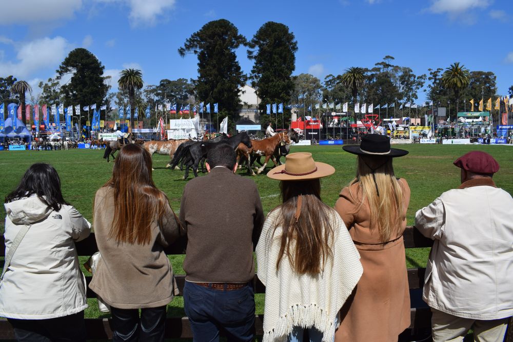 Expo Prado 2024: tercer concurso de tropillas entabladas, en el ruedo de la Rural del Prado.