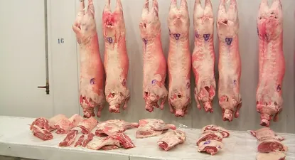El Observador | Curso de capacitación sobre calidad de canal y carne ovina