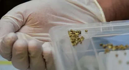 El Observador | 0000130967.webp