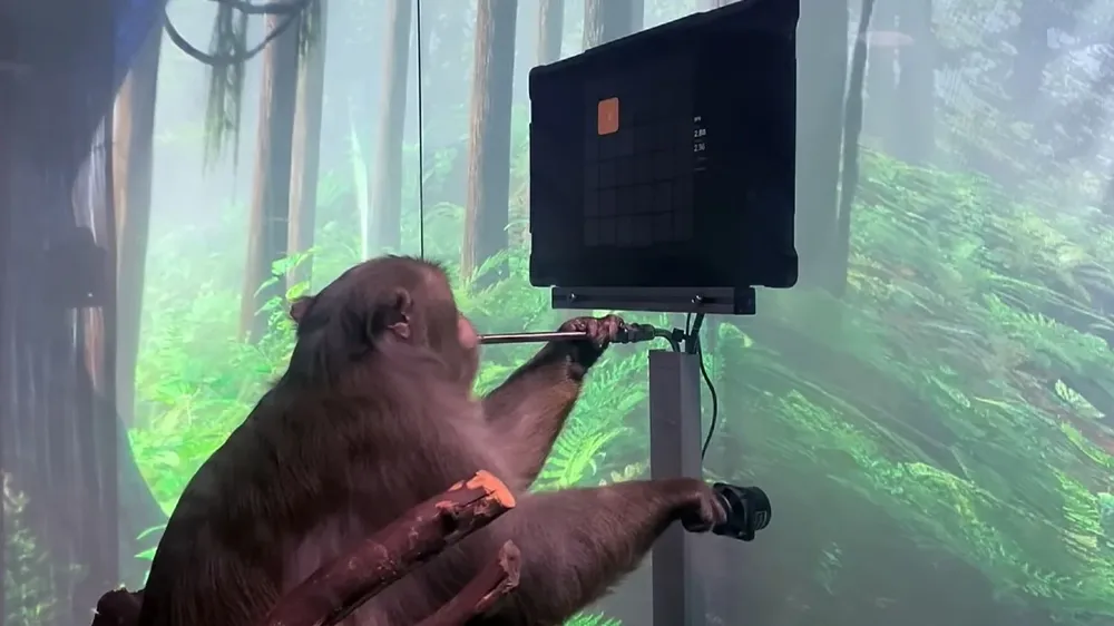 Macaco jugando al Pong con su mente