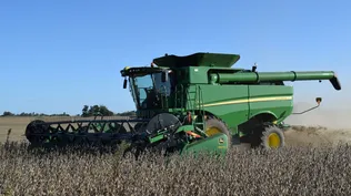 Los cultivos de invierno están comprometidos por el clima.