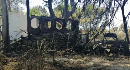 El Observador | 1576180987719.webp