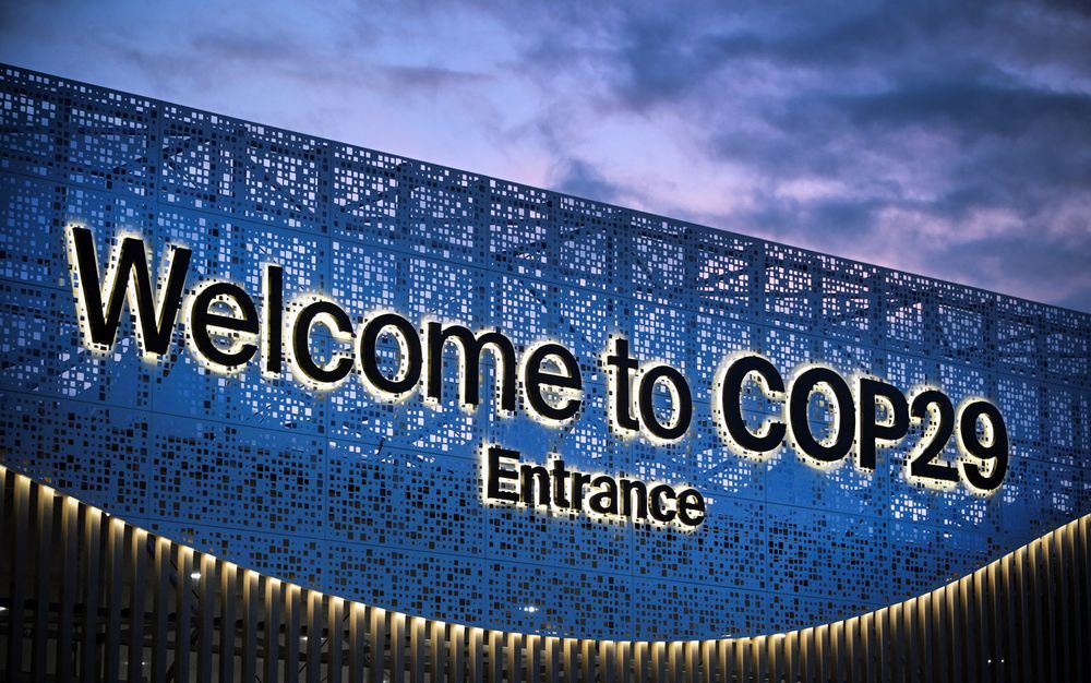 COP29