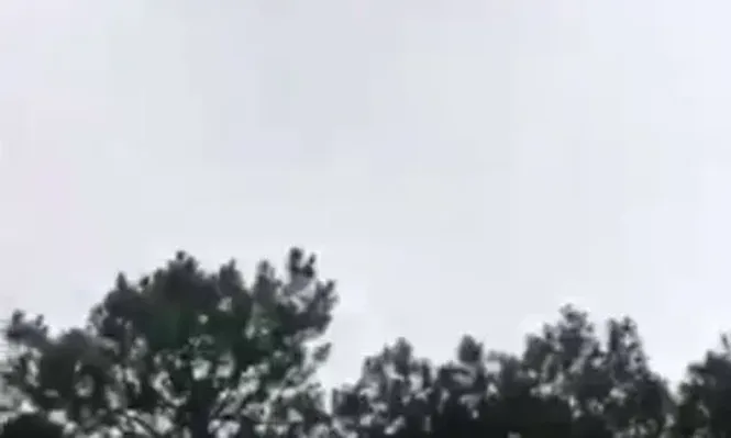 Efecto cordero: la mala reputación del CEO puede ser letal para su empresa