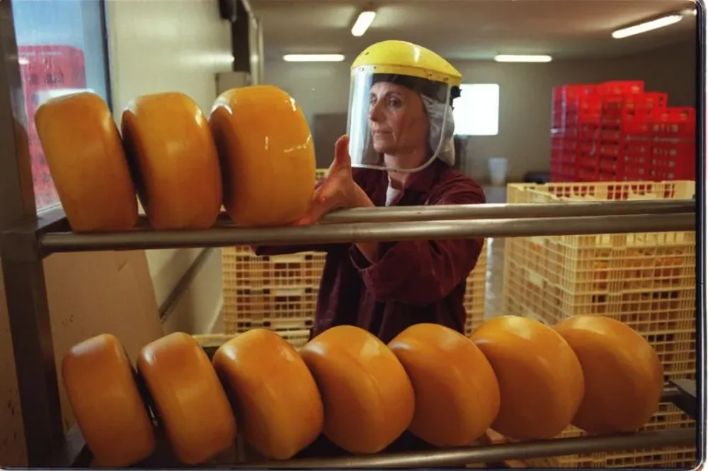 La cotización de los quesos fue la que más cayó entre los productos que exporta Uruguay