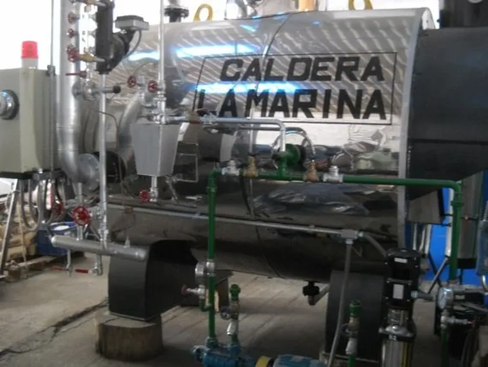 Cáceres dijo que espera buenas cifras en la subasta de las calderas