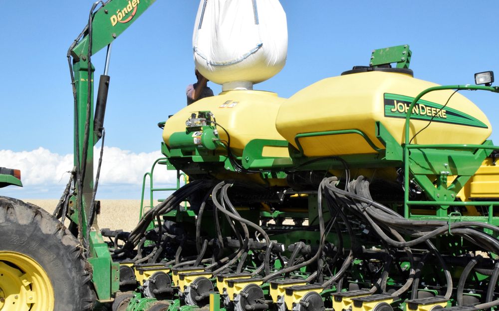 Agricultura: una siembra creciente en el invierno de 2025.