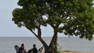 Se espera un día soleado y agradable en Montevideo
