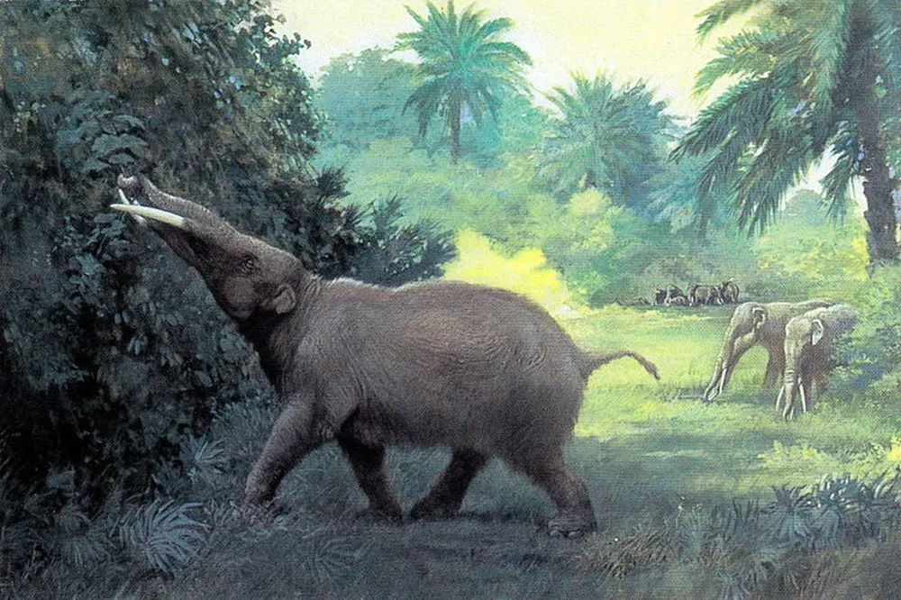 Reconstrucción del Gomphotherium