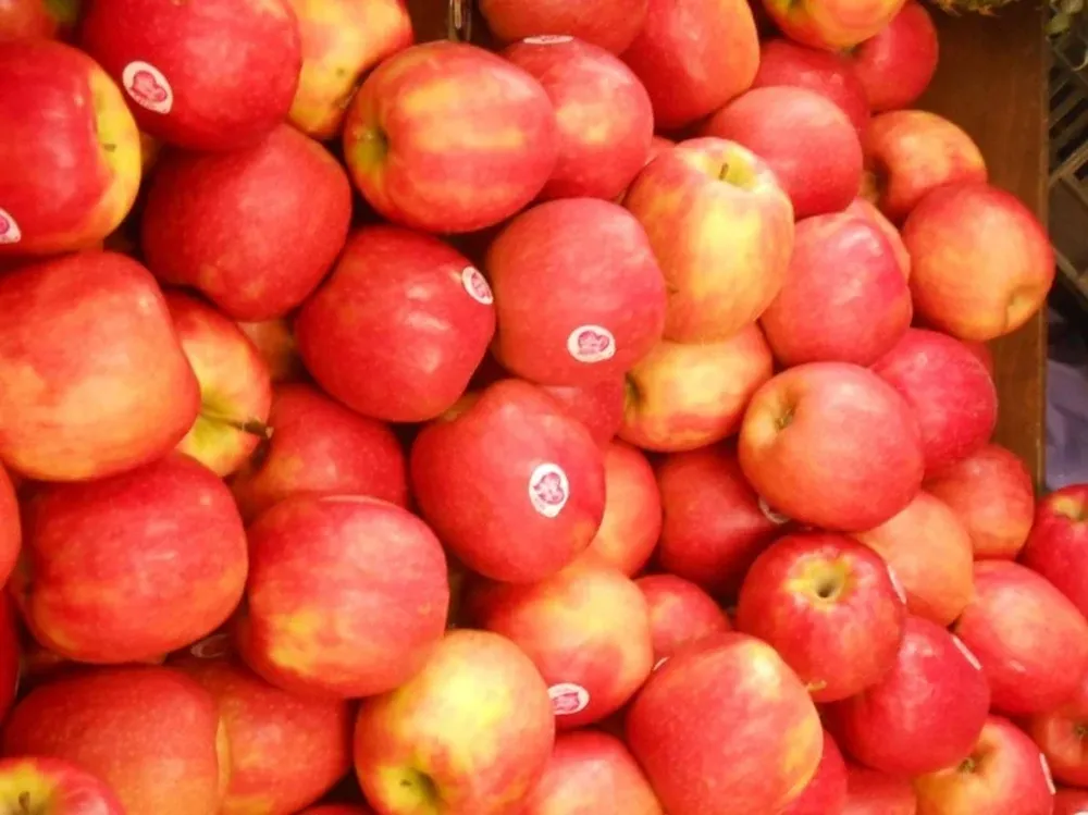 La manzana es una de las frutas recomendadas para consumir en la primera quincena de julio