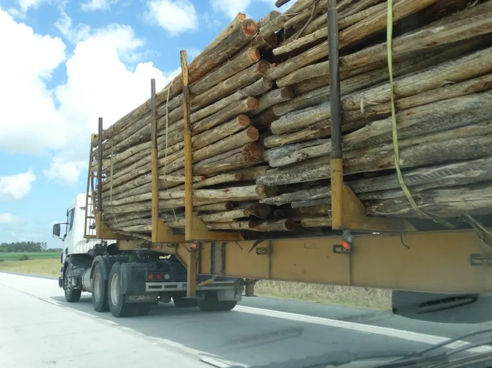 Se detuvo el abasto de madera tanto por vía marítima como por tierra.