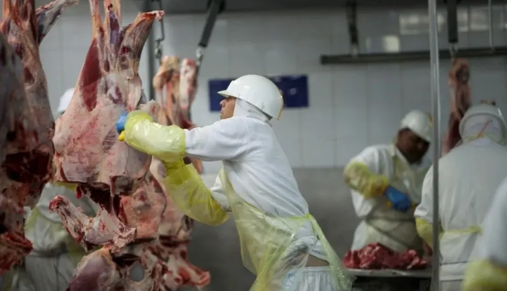 La industria brasileña paga precios récord por la materia prima