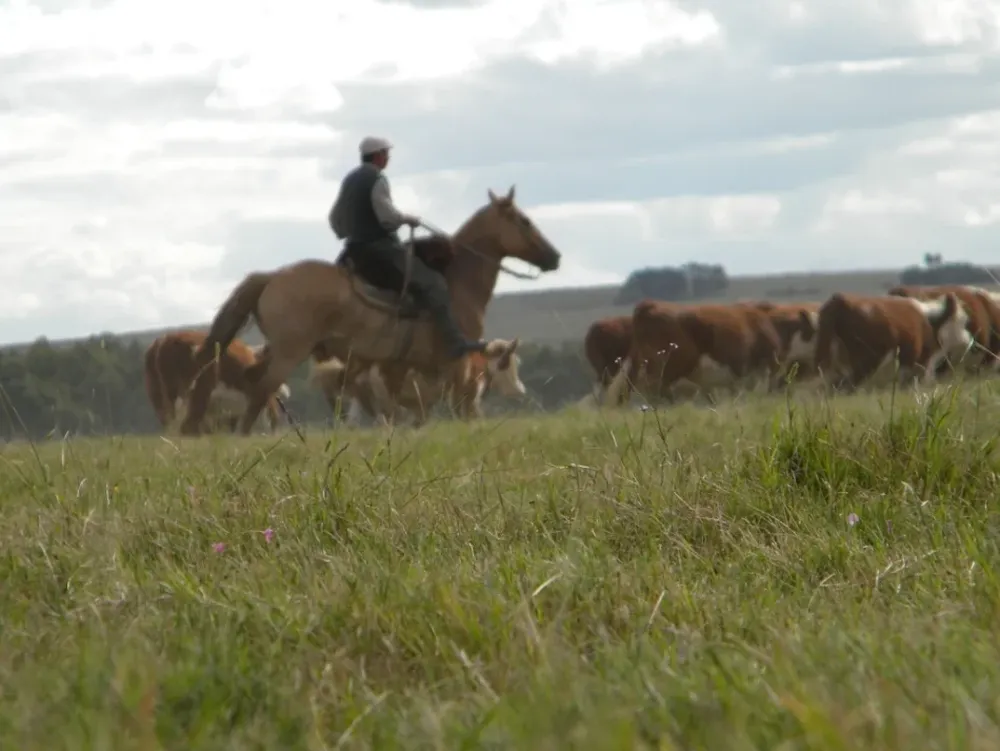 Suprema Corte confirmó que el ICIR es inconstitucional