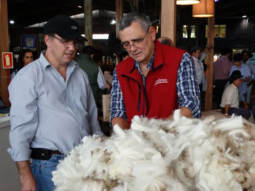 Djalma Puppo y José Luis Trifoglio durante un momento de la calificación de los vellones de la raza Corriedale.