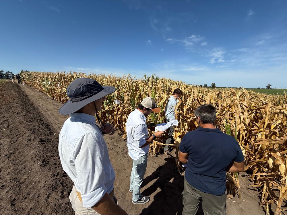 INASE: actividad en el predio de exposiciones de la ARU en Melilla.