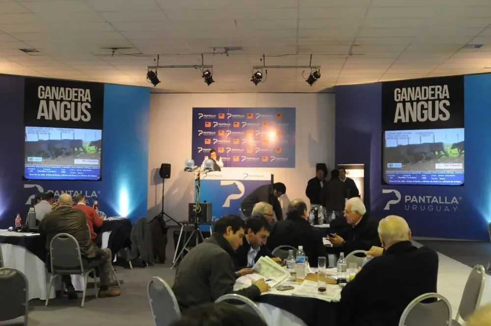 El remate se desarrolló en la Rural del Prado con transmisión en vivo por TV cable e internet.