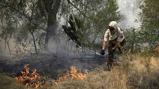 Ola de incendios en España: el fuego en Castellón sigue fuera de control y Madrid logra un alivio parcial