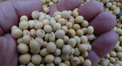 Exportaciones se recuperan en junio luego de 14 meses en baja