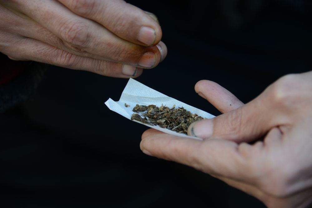 05ac09marihuana3col_20170806181146_081 (1).jpg