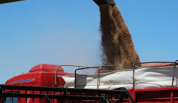 Las exportaciones tuvieron un muy buen desempeño en el arranque de año.