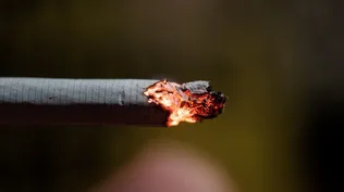 Ajustan impuesto al cigarrillo y la caja tendrá aumento de entre $ 5 y $ 10