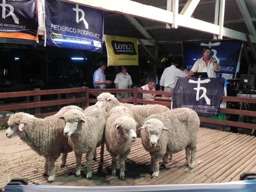 El escritorio Federico Rodríguez dos Santos hará importantes remates