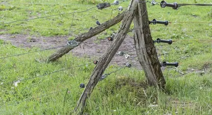 El Observador | electricity-2424944_960_720.webp