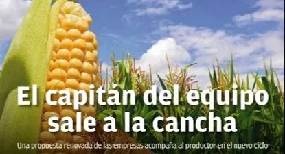 Cultivos de verano 2020