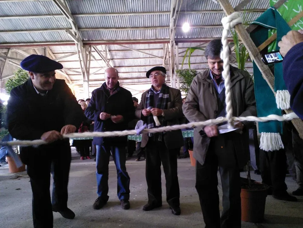 Joaquín Martinicorena, Germán Coutinho, Tabaré Aguerre y Walter Texeira Núñez