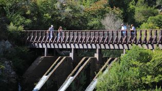 Alquileres en Semana de Turismo: cuáles son los departamentos más demandados y qué precios registran