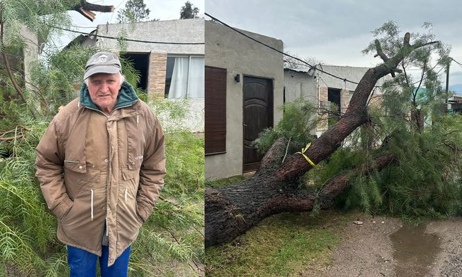 Temporal de Santa Rosa: un hombre quedó atrapado en su casa luego de que un árbol cayera sobre su puerta
