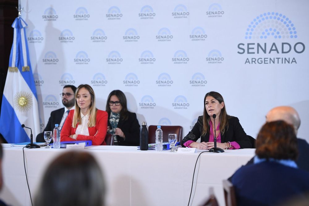 A la izquierda, la senadora Anabel Fernández Sagasti (UxP, Mendoza), a la derecha la senadora Guadalupe Tagliaferri (PRO-CABA) en la audiencia pública de la Comisión de Acuerdos del Senado en la que el juez Ariel Lijo defiende su postulación para la Corte Suprema de Justicia de la Nación