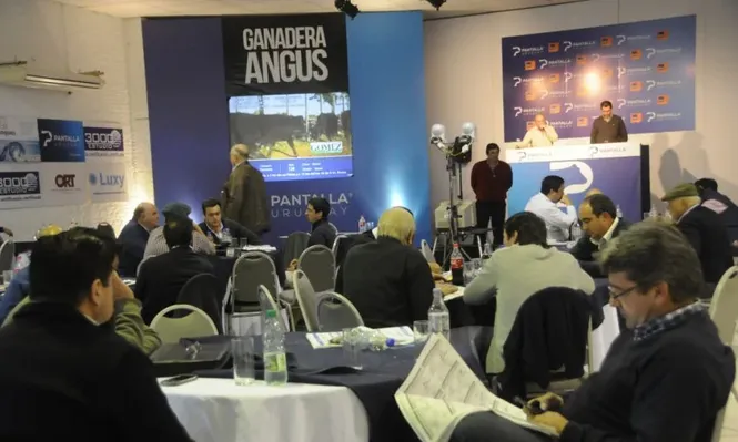 Ganadera Angus registró gran demanda por la invernada