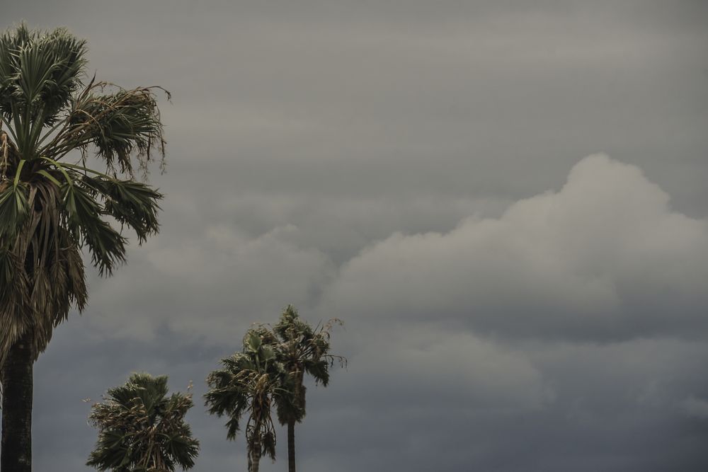 El día más complejo del temporal de Santa Rosa