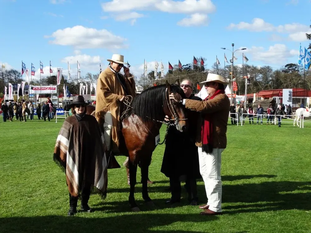 La entrega de la cocarda al Gran Campeón de la raza equina Peruano de Paso.