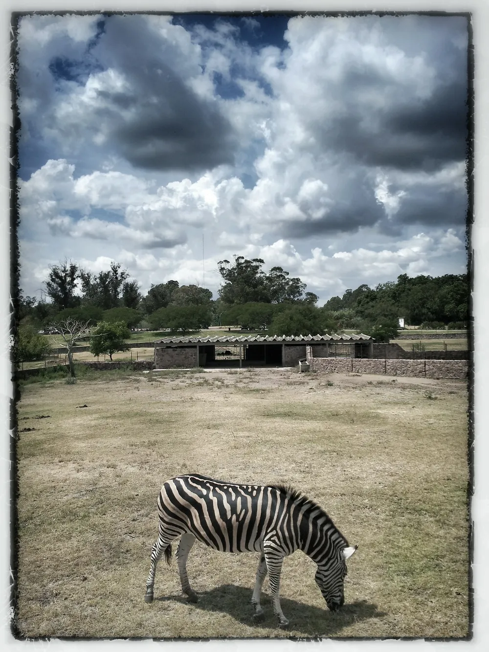 Esta fotografía tomada en el Parque Lecocq un domingo de febrero fue sacada con un Samsung Galaxy SII, y luego retocada y enmarcada con la aplicación Snapseed, la cual, según el fotógrafo Armando Sartorotti, es mejor y más amigable que Photoshop para celulares, ambas disponibles gratis