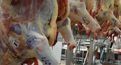 La Unión Europea se atraganta con la carne en su negociación con el Mercosur