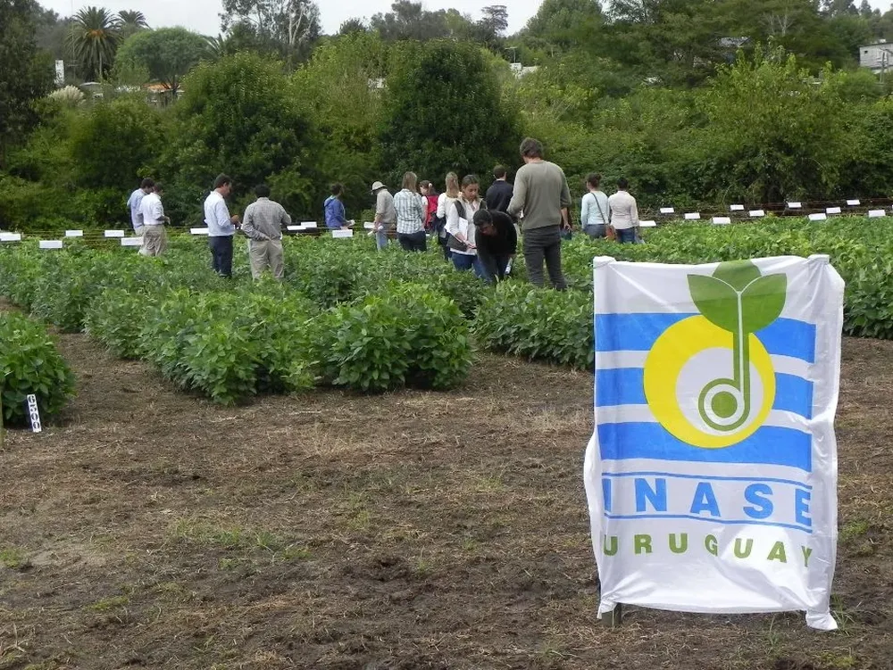 Inase: predio de ensayos de variedades vegetales.