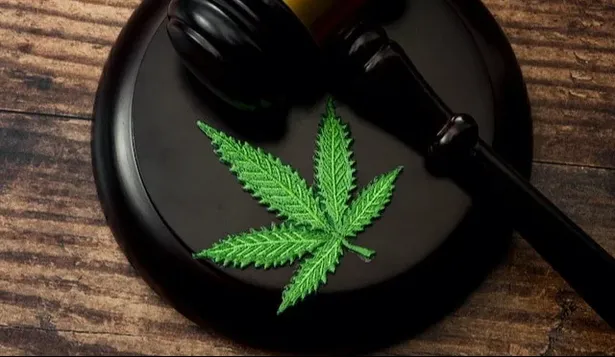 Detienen a una banda que enviaba marihuana a Alemania por correo.