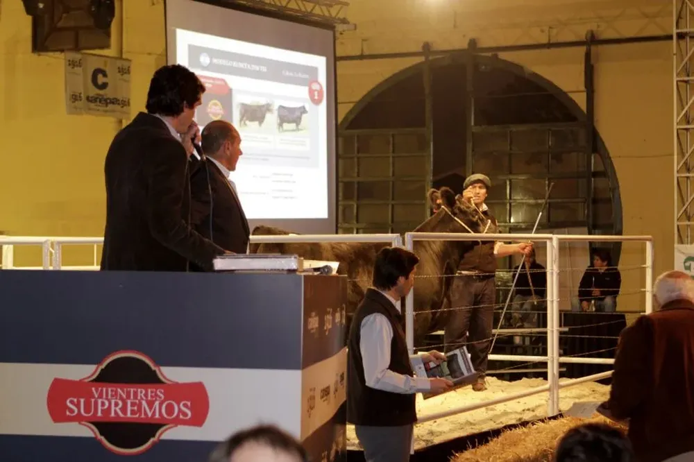 Ricardo Laborde invirtió el precio máximo de US$ 20.400