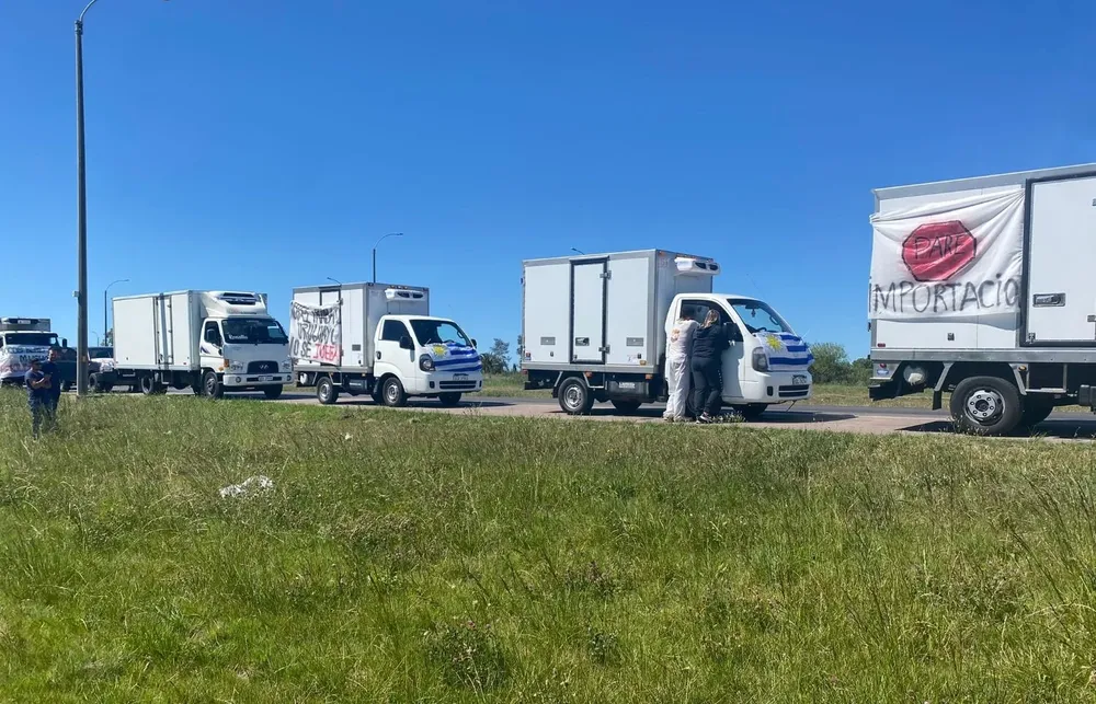 El 3 de noviembre, en protesta contra la libre importación de carne aviar, hubo una camionada en Montevideo.