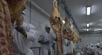 La producción del corazón de la industria está por encima de los niveles de 2019.