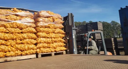 La semana próxima se abrirá una licitación para la compra de 45.000 kilos más de papa.