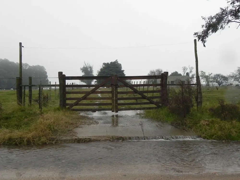 Cosechar el agua cuando llueve en exceso, un viejo reclamo del sector productivo.