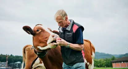 El Observador | 0000352985.webp