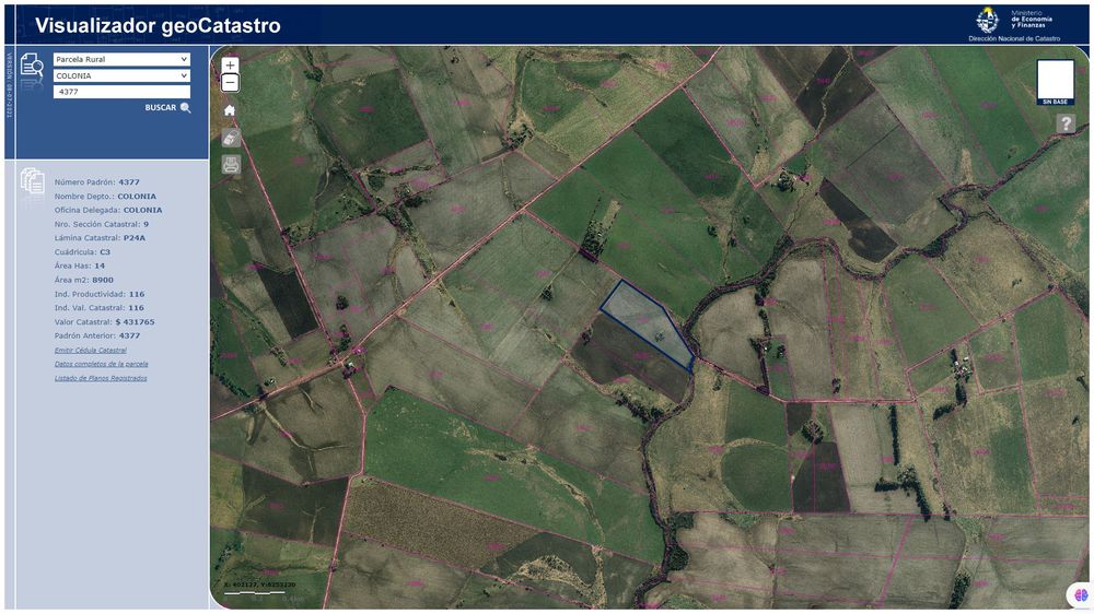 Mario Fernández remata fracción de campo en el departamento de Colonia.&nbsp;