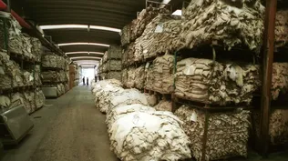 Tras racha de números rojos, el corazón industrial tendió a estabilizarse en julio