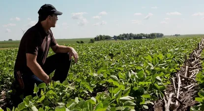 Un foco de atención es la oferta de soja que tendrá en América del Sur.